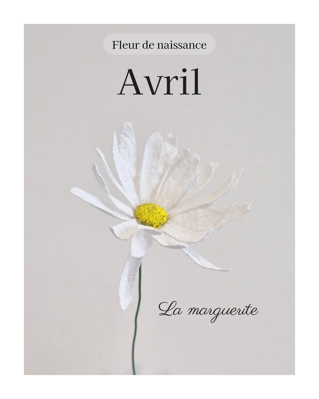 fleur de naissance du mois d'avril à partir de vêtement type chemise pour en faire une marguerite