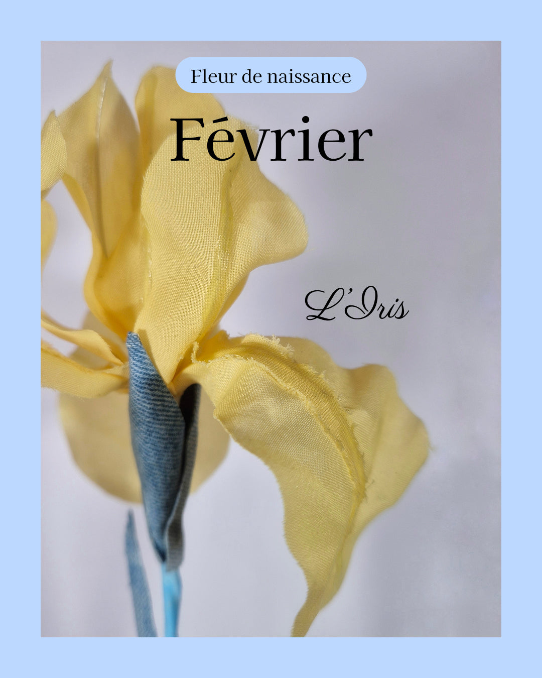 fleur de naissance du mois de février à partir de vêtement type chemise pour en faire une iris