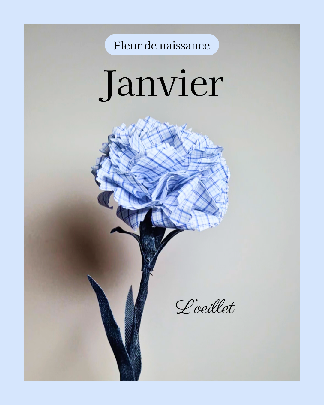 fleur de naissance du mois de janvier à partir de vêtement type chemise pour en faire un oeillet