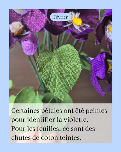 Violette - fleur de naissance de Février