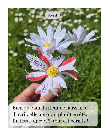 Marguerite - fleur de naissance d'Avril