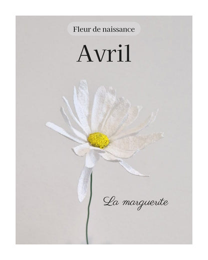 Marguerite - fleur de naissance d'Avril