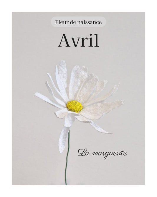 Marguerite - fleur de naissance d'Avril