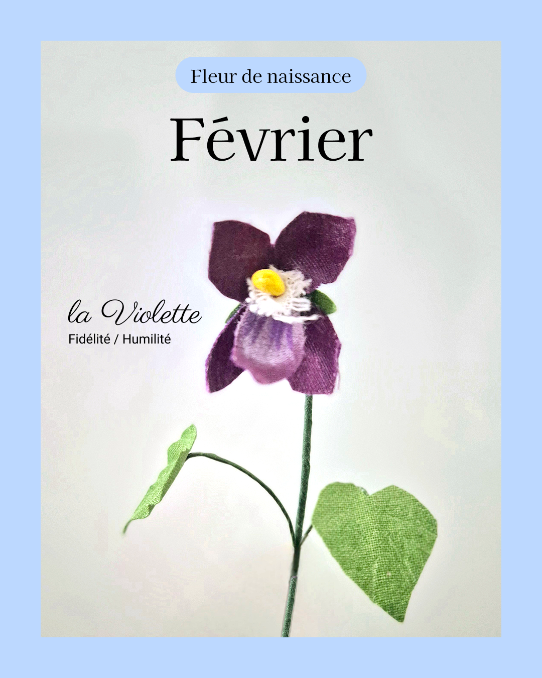 Violette - fleur de naissance de Février