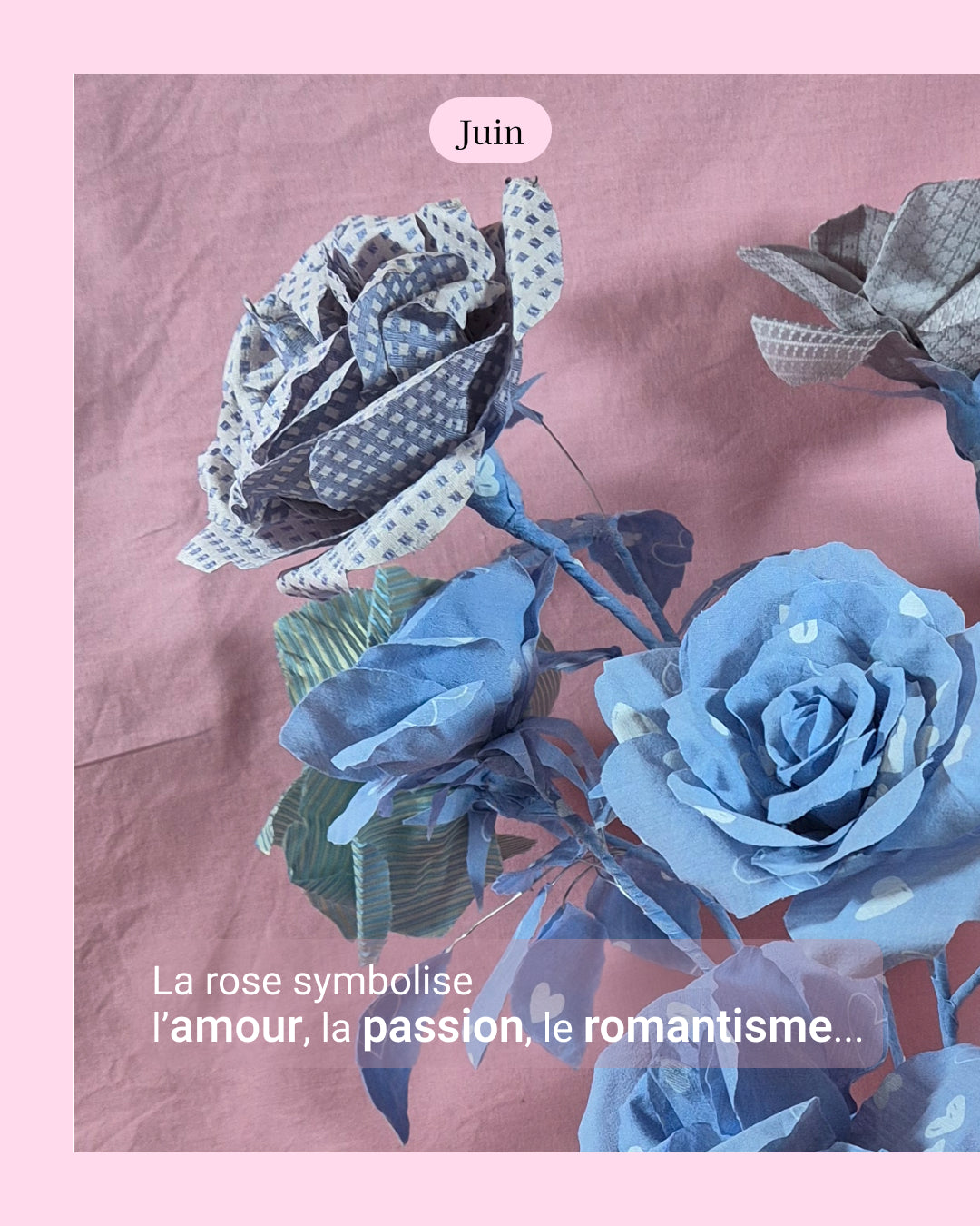 Rose - fleur de naissance de Juin