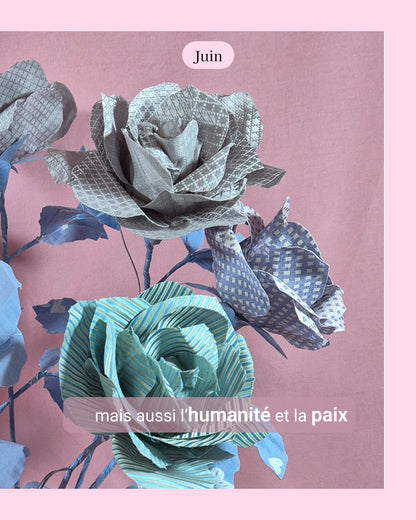 Rose - fleur de naissance de Juin