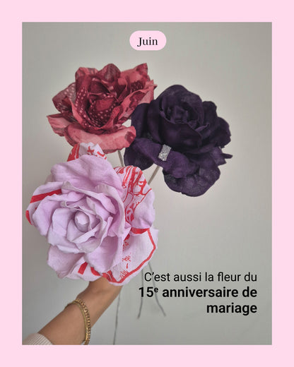Rose - fleur de naissance de Juin