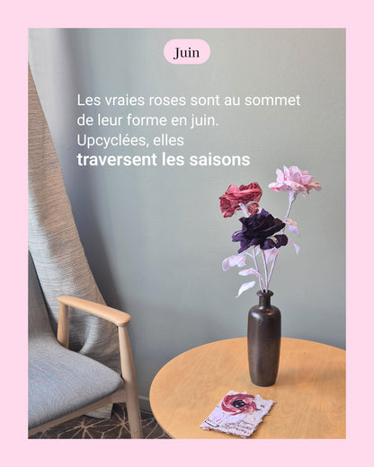Rose - fleur de naissance de Juin
