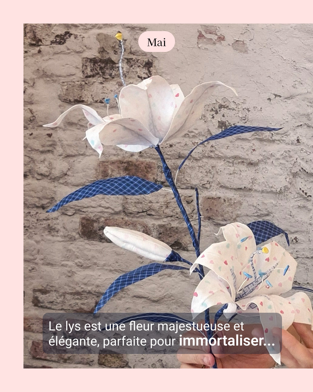 Lys - fleur de naissance de Mai