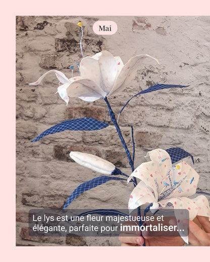 Lys - fleur de naissance de Mai