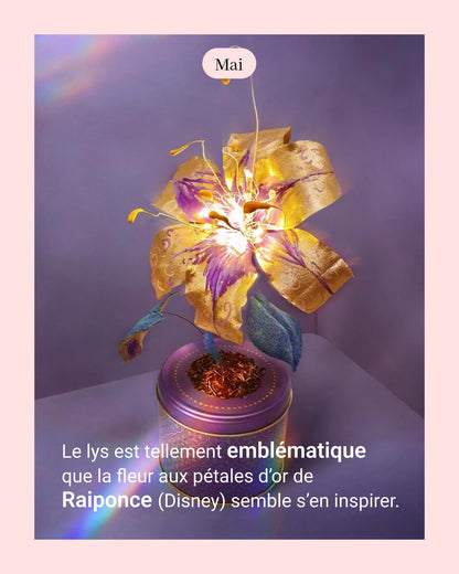 Lys - fleur de naissance de Mai
