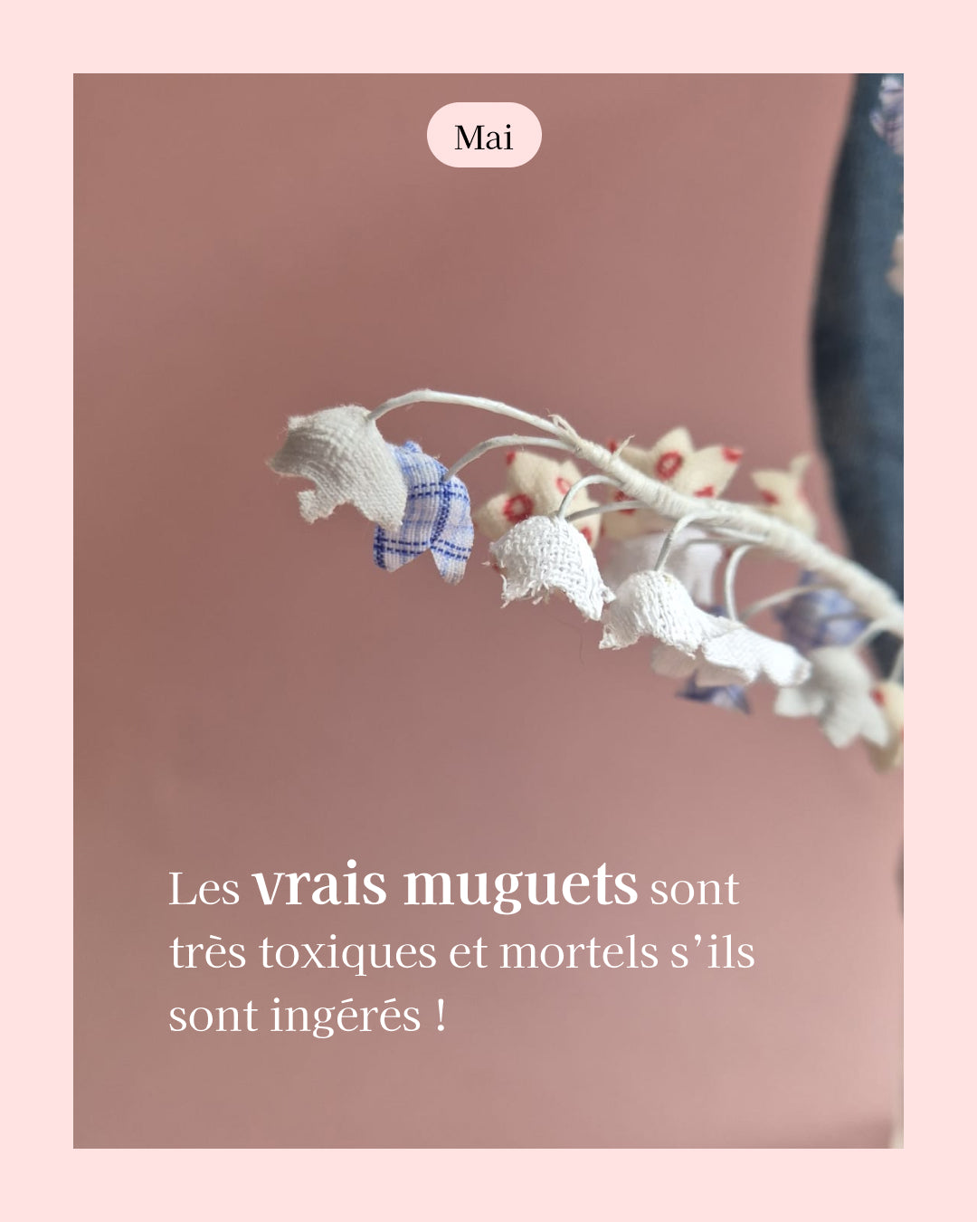 Muguet - fleur de naissance de Mai