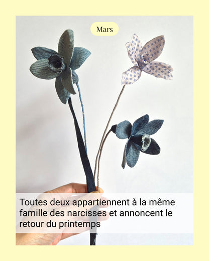 Narcisse / Jonquille - fleur de naissance de Mars