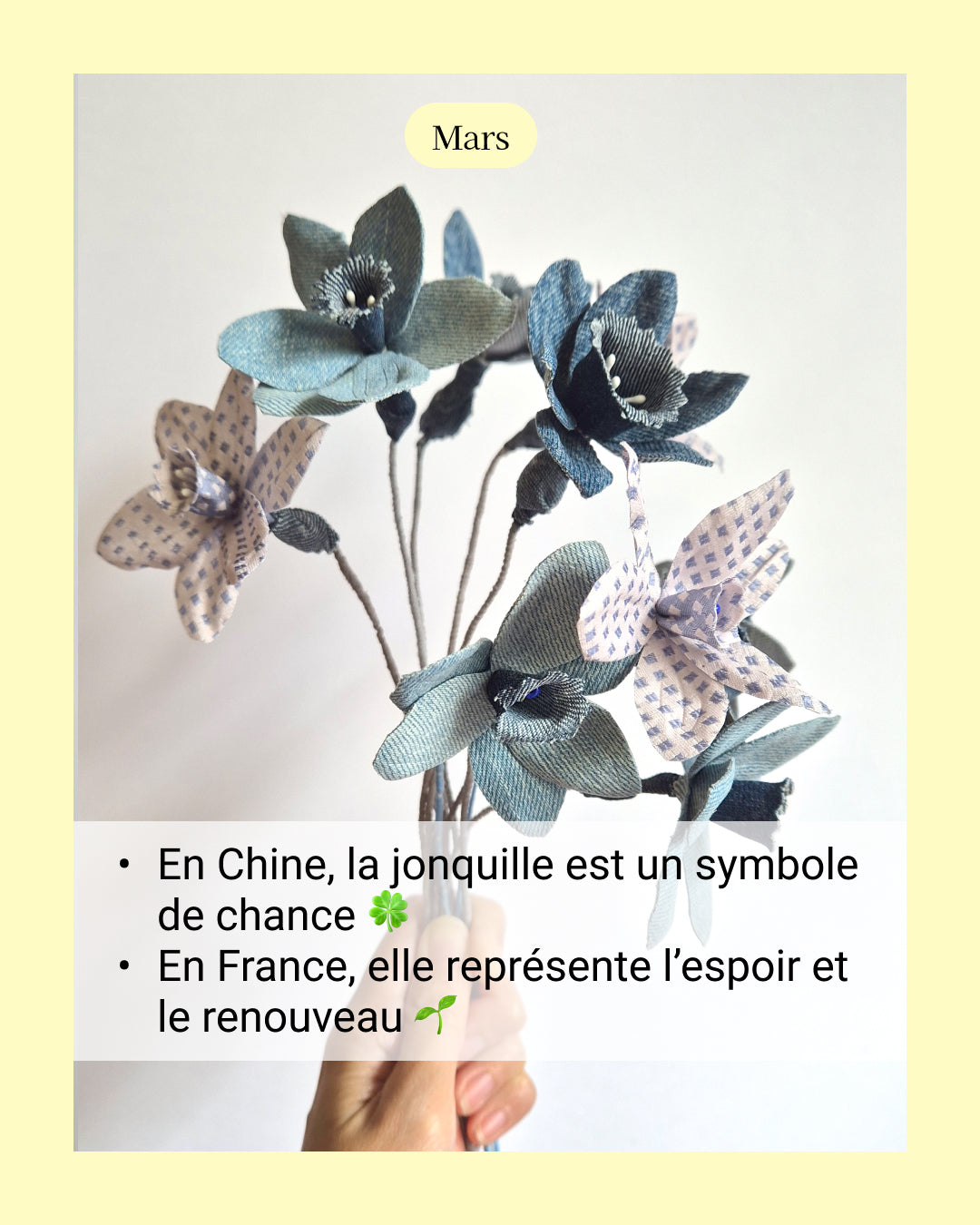 Narcisse / Jonquille - fleur de naissance de Mars