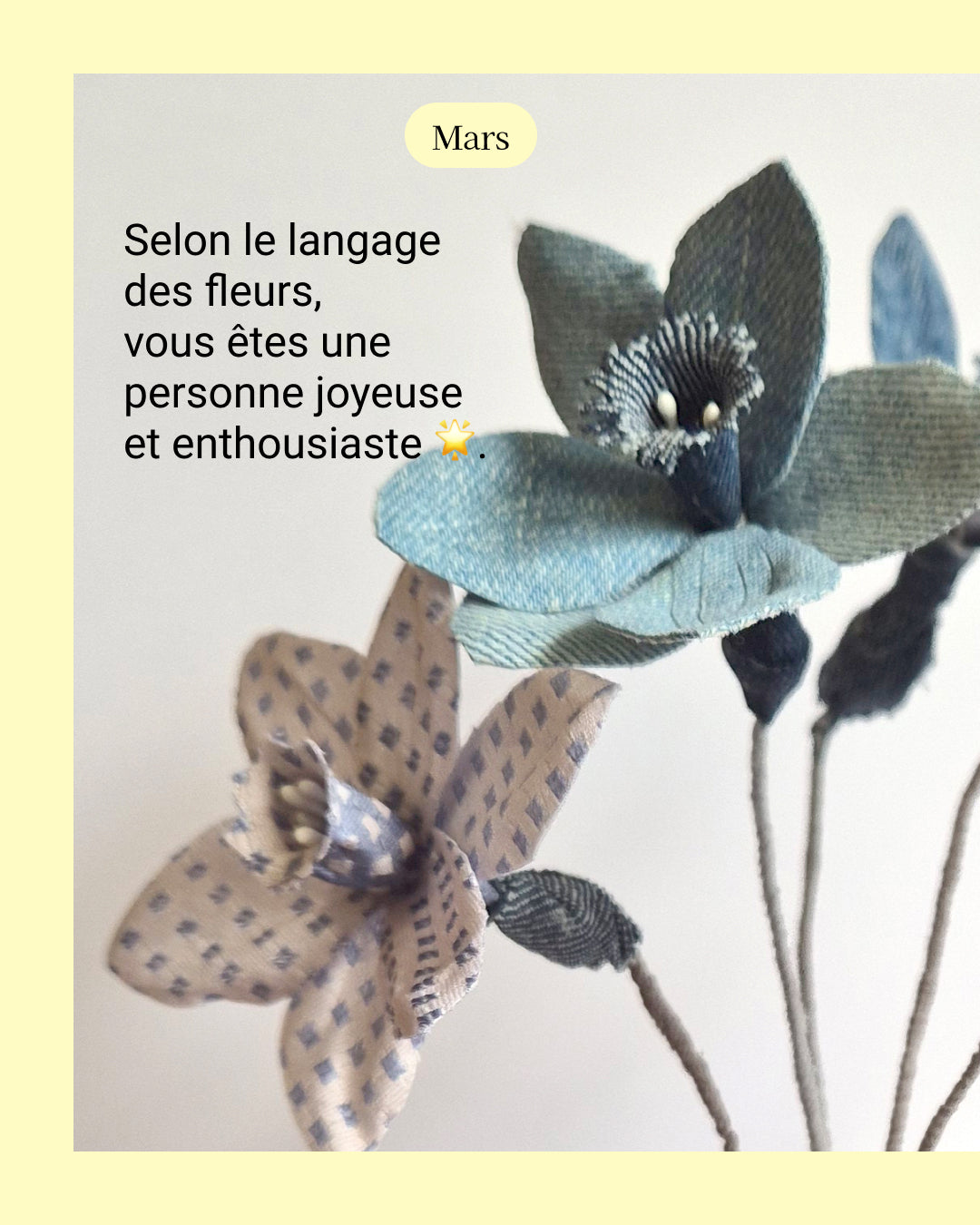 Narcisse / Jonquille - fleur de naissance de Mars