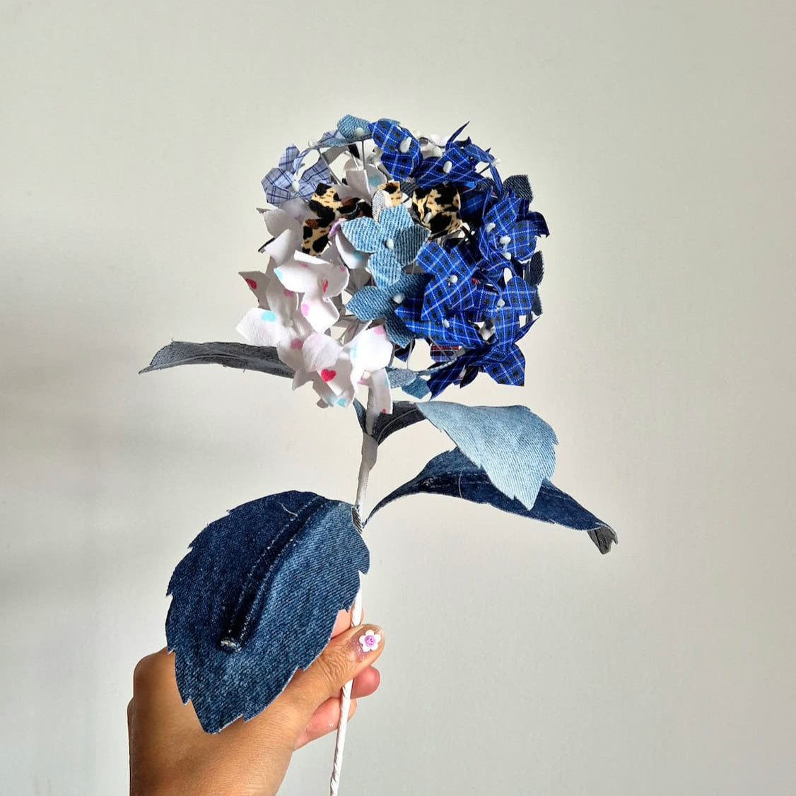 hortensia hydrangea vetements famille anniversaire mariage