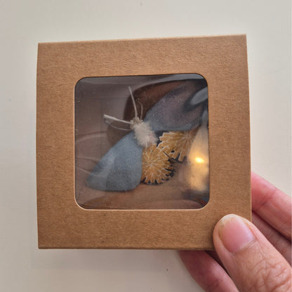 Papillon Sylvain