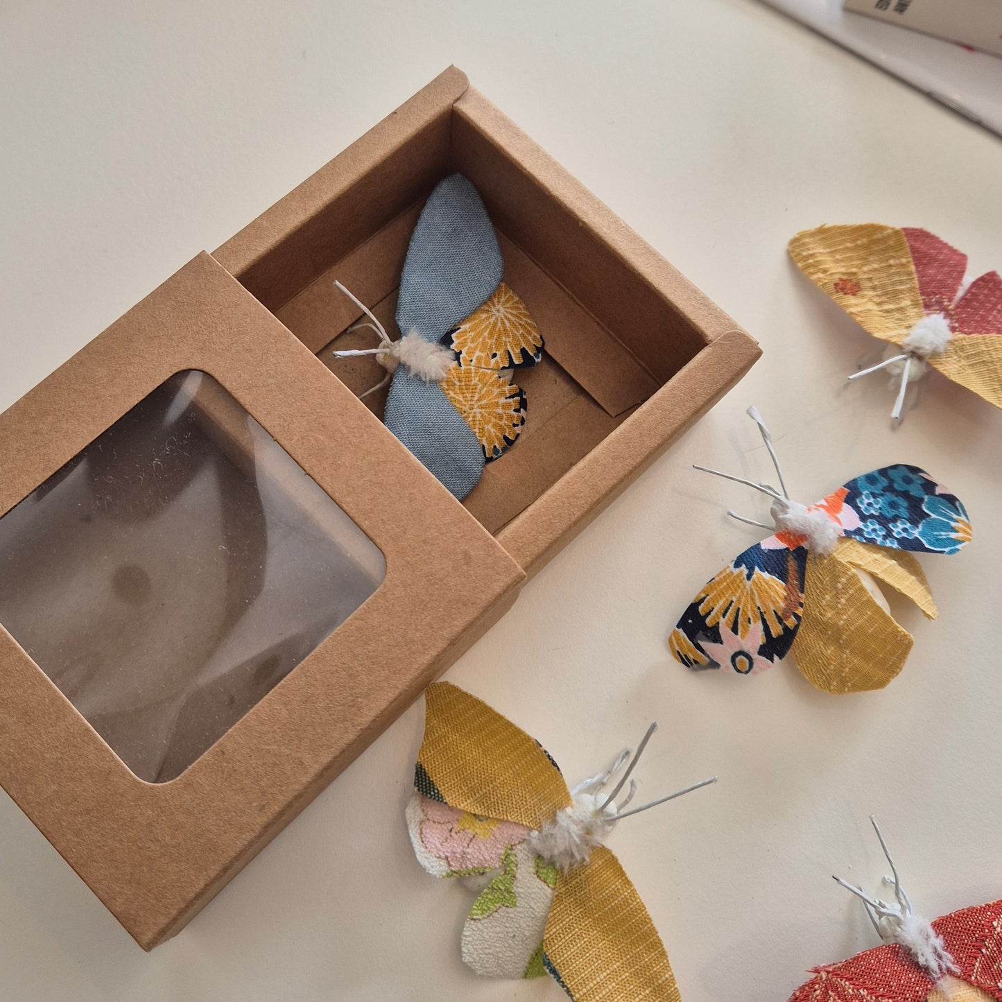Papillon Sylvain