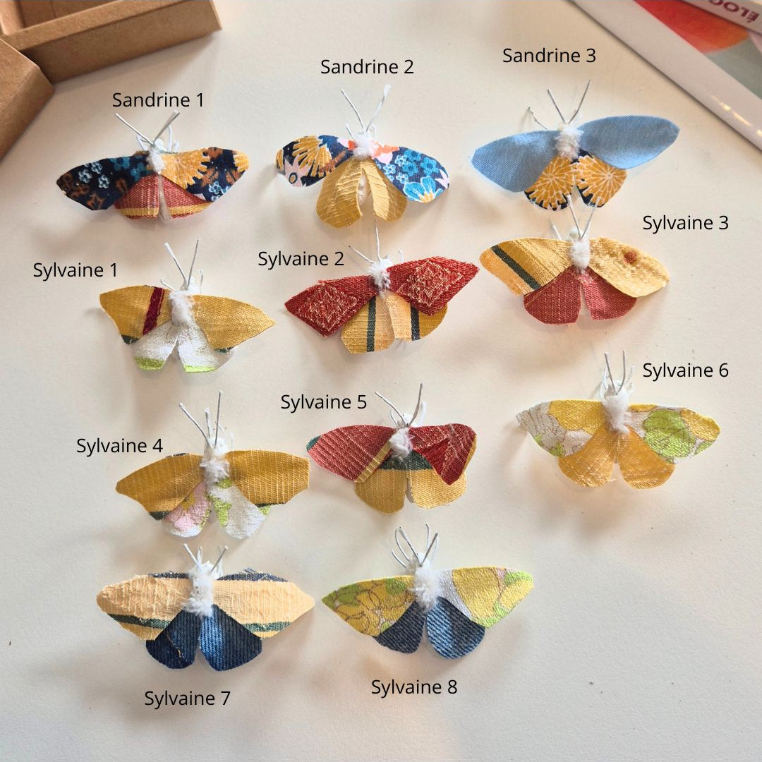 Papillon Sylvain