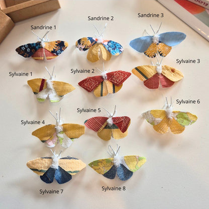 Papillon Sylvain