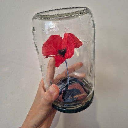 Coquelicot en bocal