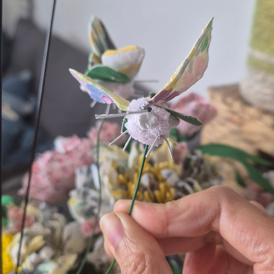 Papillon de Chi