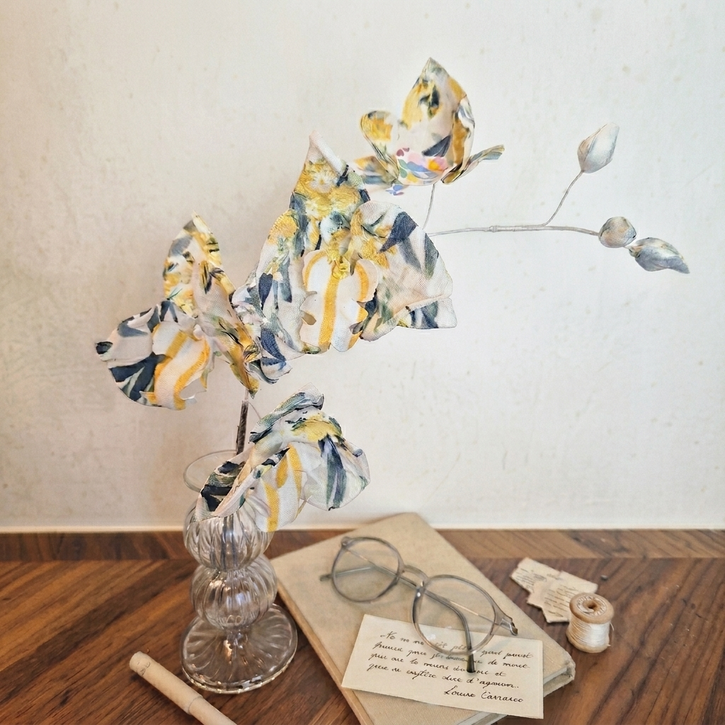 Orchidée papillon