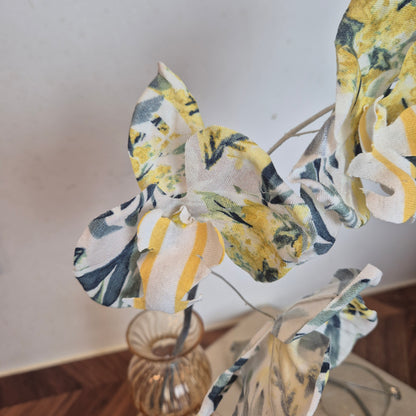 Orchidée papillon
