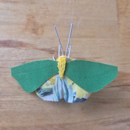 Papillon de Chi