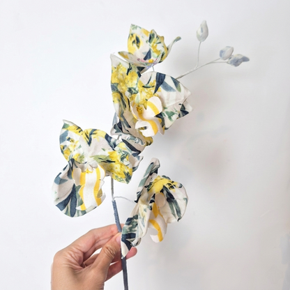 Orchidée papillon