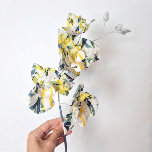 Orchidée papillon