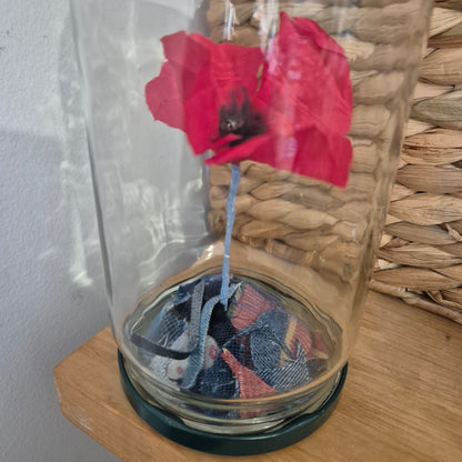 Coquelicot en bocal