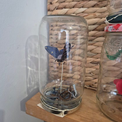 Papillon en bocal
