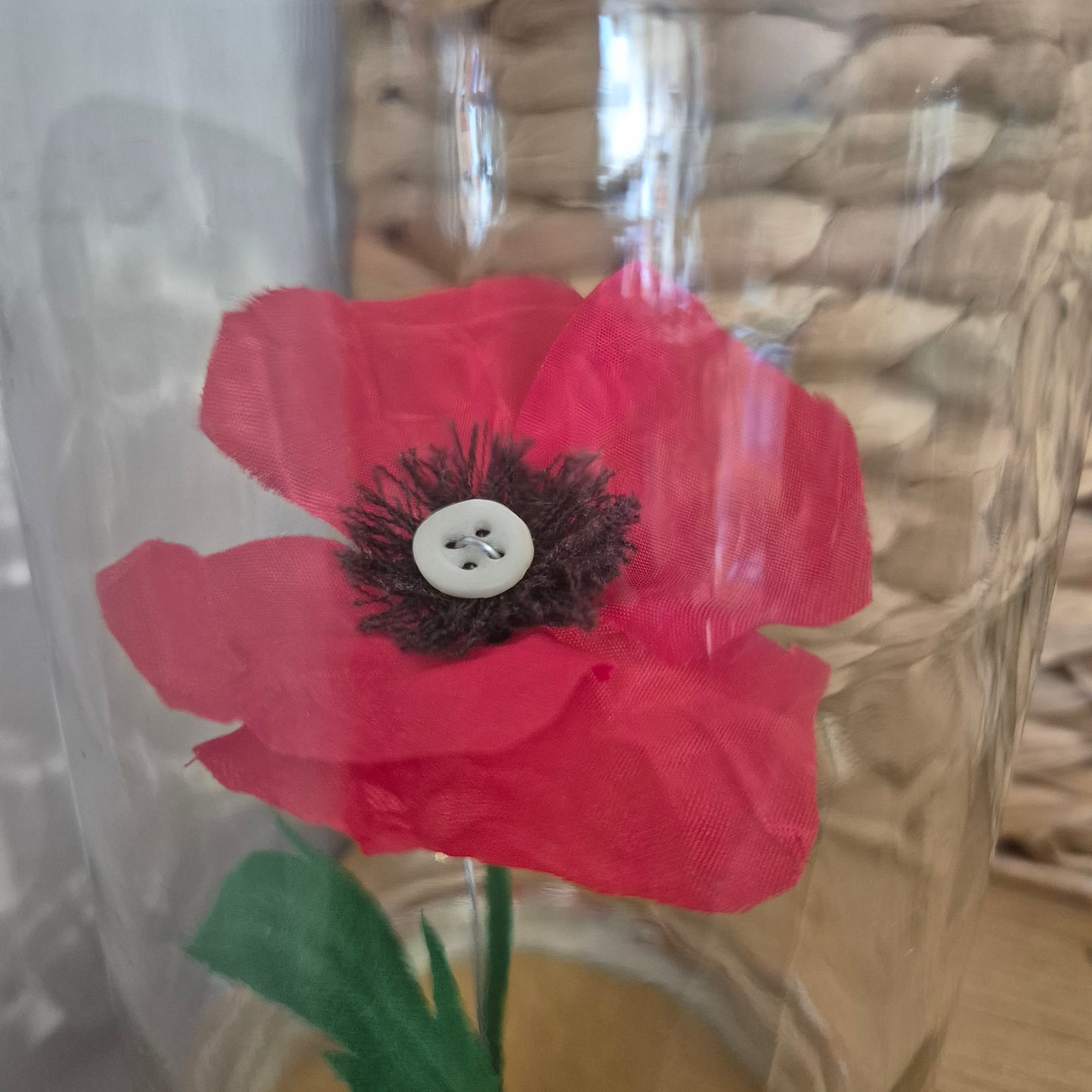 Coquelicot en bocal