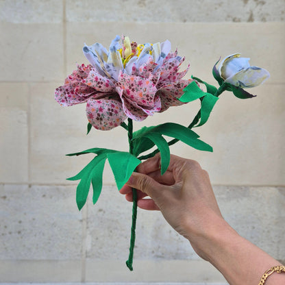 Pivoine