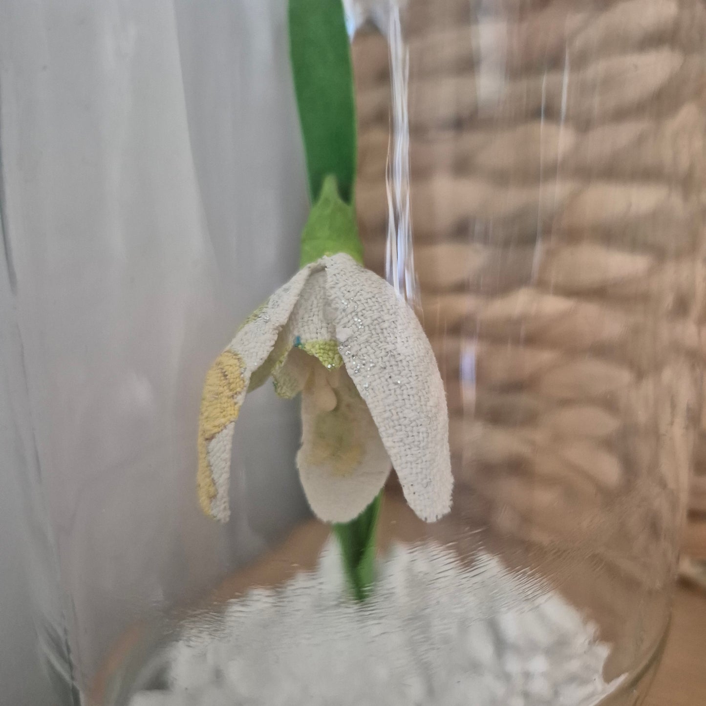 Perce-neige en boule à neige