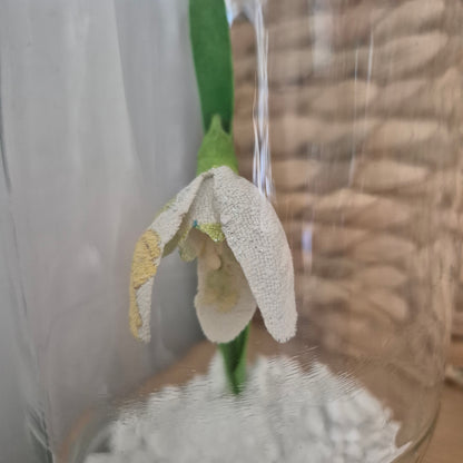 Perce-neige en boule à neige